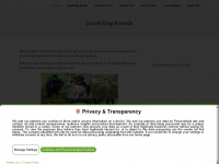 smalldogbreeds.info Thumbnail