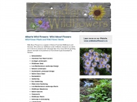 albertawildflowers.ca Thumbnail