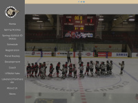 Bonnyvilleminorhockey.ca