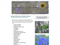 Gardenwildflower.ca