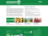 newberryint.co.uk Thumbnail