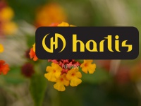 Hartis.ca