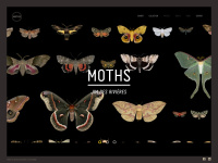Moths.ca