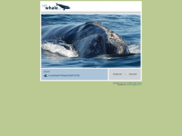 Rightwhale.ca