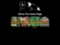 silver-fox.ca Thumbnail