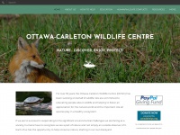 wildlifeinfo.ca