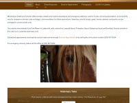 Winchelseavetservices.ca