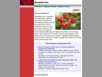 raspberries.us Thumbnail