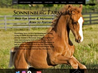 sonnenberg.us Thumbnail