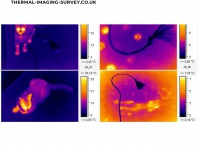 thermal-imaging-survey.co.uk Thumbnail