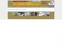 Alcoholcanbeagas.net