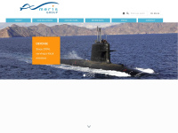 Ameris.net
