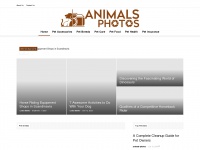 animals-photos.net Thumbnail