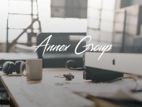 annexgroup.net Thumbnail