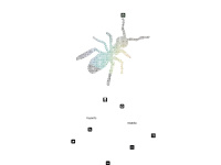 Antsworld.net