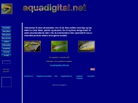 aquadigital.net