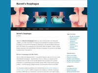 barretts-esophagus.net