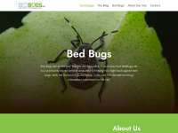 Bedbugs.net