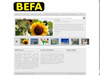 befa.net