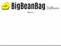 bigbeanbag.net