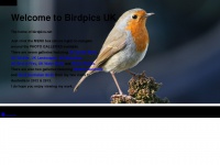 Birdpics.net