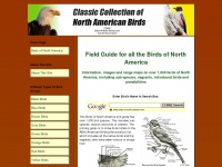 birds-of-north-america.net Thumbnail