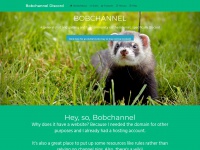 bobchannel.net Thumbnail