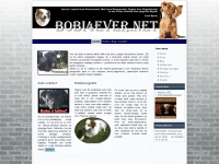 bobi4ever.net