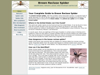 Brown-recluse-spiders.net