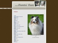 bumtsi.net