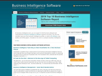 Business-intelligence.net