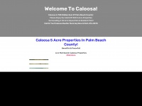 caloosarealty.net Thumbnail