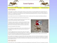 Camel-spiders.net