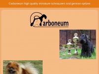 carboneum.net Thumbnail