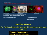 chicagocytoskeleton.net Thumbnail