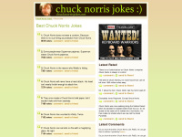 chucknorrisjokes.net