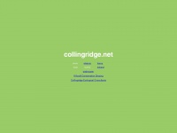collingridge.net Thumbnail