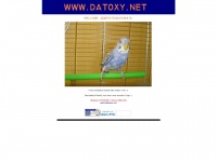 datoxy.net