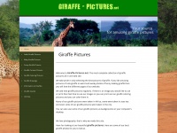 giraffe-pictures.net