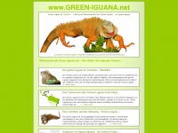green-iguana.net Thumbnail