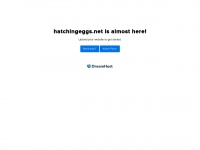 hatchingeggs.net Thumbnail