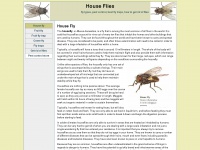 house-flies.net