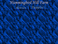 hummingbirdhill.net