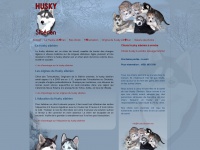 husky-siberien.net Thumbnail