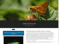 insectasylum.net Thumbnail