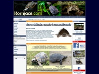 Kornjace.net