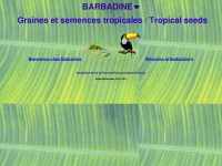 barbadine.com Thumbnail