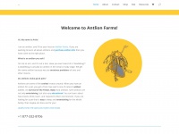 antlionfarms.com Thumbnail