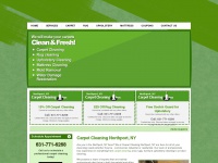 northportcarpetcleaning.net Thumbnail