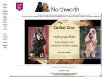 Northworth.net